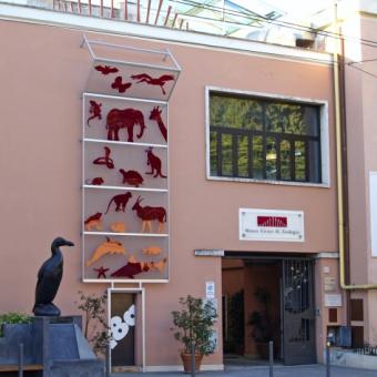 Museo Civico di Zoologia