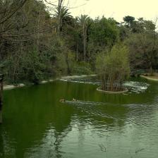 Bioparco@Massimiliano Di Giovanni – Archivio Bioparco