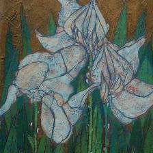 Garth Speight, Iris bianchi, acrilico, cm. 37x52