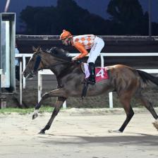 Ippodromo Capannelle Roma Ph. Ippodromo Capannelle Ippodromo Capannelle Roma Ph. Ippodromo Capannelle