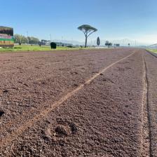 Ippodromo Roma Capannelle