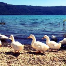 Lago Albano - Castel Gandolfo