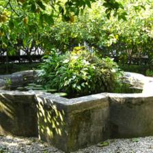 Monastero delle Oblate di Santa Francesca Romana a Tor de' Specchi - Fontana