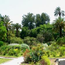 Orto Botanico di Roma - Giardino Mediterraneo