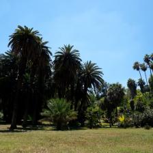 Orto botanico - Foto Turismoroma L. Dal Pont