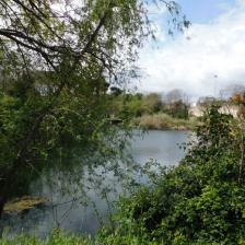 Parco e Lago Ex Snia