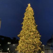 Albero di Natale in Piazza del Popolo ph. Turismoroma