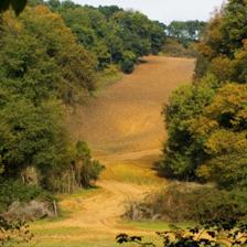 Riserva Naturale dell'Insugherata