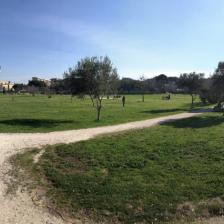 Villa de Sanctis