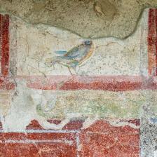 Capodanno con l’archeologia Terme di Caracalla, Arco di Malborghetto, Villa di Livia, Santuario Siriaco aperti il 1° gennaio-Foto: Fabio Caricchia, particolare di affresco della Villa di Livia Capodanno con l’archeologia Terme di Caracalla, Arco di Malborghetto, Villa di Livia, Santuario Siriaco aperti il 1° gennaio-Foto: Fabio Caricchia, particolare di affresco della Villa di Livia