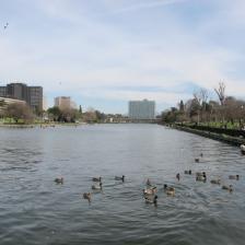 Parco Centrale del Lago