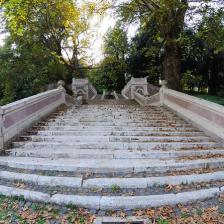 Orto Botanico di Roma