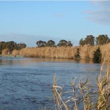 Foto Parco archeologica di Ostia antica