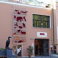 Museo Civico di Zoologia