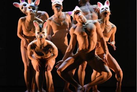 Momix - Alice Momix - Alice