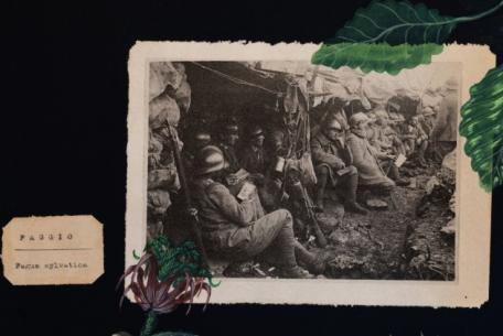 C’è tempo per le nespole. Nuove narrazioni dalla Grande Guerra-Foto: sito ufficiale dell'Istituto Centrale per il Catalogo e la Documentazione