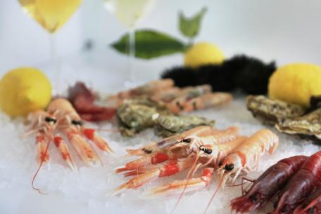 Fish&Wine Festival Fish&Wine Festival