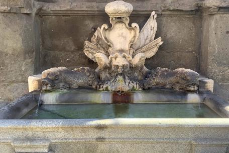 Fontana di Giulio III ph. Redazione Turismo Roma Fontana di Giulio III
