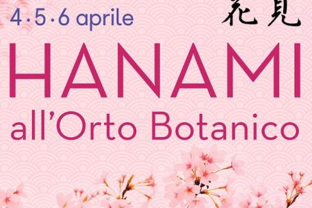 Hanami all'Orto Botanico-Foto: locandina ufficiale della manifestazione Hanami all'Orto Botanico-Foto: locandina ufficiale della manifestazione
