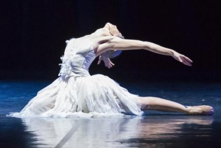 Il Lago dei Cigni ovvero il Canto - Balletto di Roma Il Lago dei Cigni ovvero il Canto - Balletto di Roma