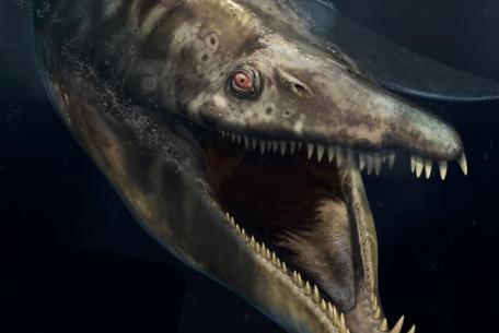 PaleoAquarium - Il Mare al Tempo dei Dinosauri