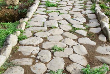 Parco Archeologico di Veio-Foto: di Marco Scataglini - Parco Archeologico di Veio Campetti, particolare della strada