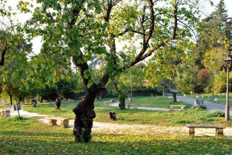 Parco di San Gregorio al Celio-Foto: Sovrintendenza Capitolina Parco di San Gregorio al Celio-Foto: Sovrintendenza Capitolina