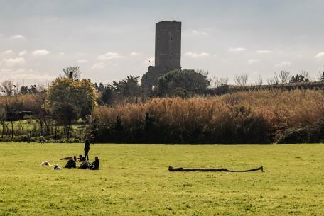 Parco Torre del Fiscale-Foto: sito ufficiale Parco Acheologico dell'Appia Antica