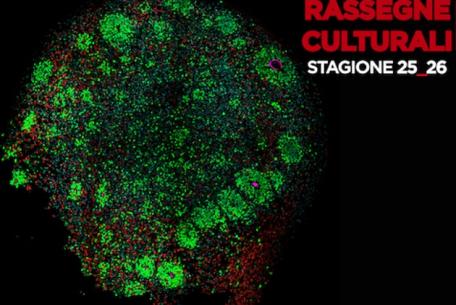 Quando la scienza fa spettacolo: la Scienza, l’Etica e la Coscienza. III edizione 2025-Foto: locandina ufficiale della rassegna