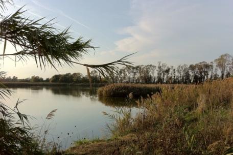 Riserva Naturale statale Litorale Romano