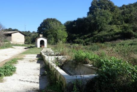 Riserva Naturale della Marcigliana foto sito ufficiale Riserva