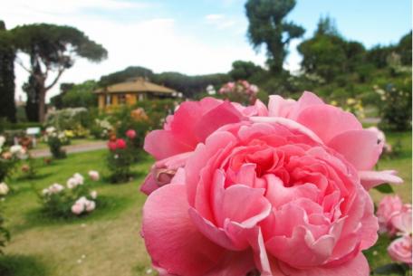 Rosto Comunale Roseto Comunale