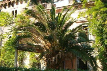 Villa Flora-Foto: Sovrintendenza Capitolina Villa Flora-Foto: Sovrintendenza Capitolina