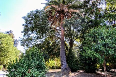 Villa Lazzaroni@Redazione Turismo Roma Villa Lazzaroni@Redazione Turismo Roma