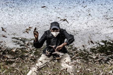 World Press Photo Exhibition 2021