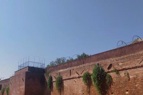 Camminamento delle Mura Aureliane di Viale Pretoriano Camminamento delle Mura Aureliane di Viale Pretoriano