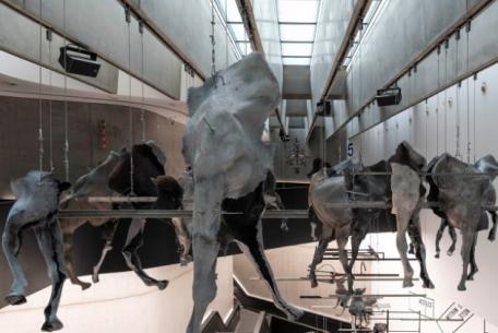 Foto @museomaxxi Foto @museomaxxi