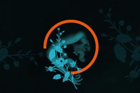 Orbita Spellbound 2026 - Scintille. La Stagione Danza 2026