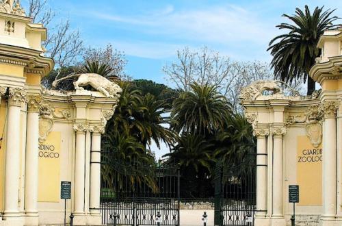 Capolavori russi per violoncello e pianoforte - concerto al Bioparco-Foto: turismoroma