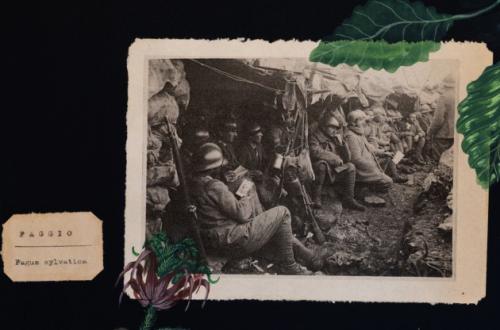 C’è tempo per le nespole. Nuove narrazioni dalla Grande Guerra-Foto: sito ufficiale dell'Istituto Centrale per il Catalogo e la Documentazione