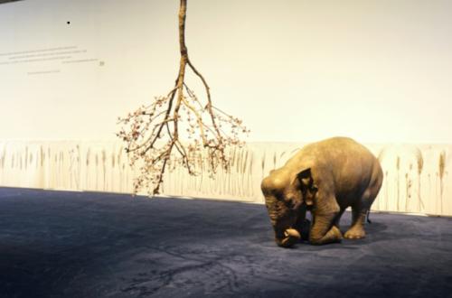 Creature Creatori foto ®LuisDoRosario, courtesy Fondazione MAXXI