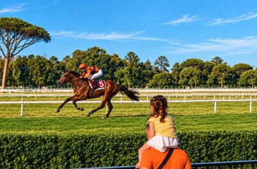 Capannelle riapre alla città: domenica 20 settembre 2026 la festa per la riapertura dell'ippodromo Capannelle riapre alla città: domenica 20 settembre 2026 la festa per la riapertura dell'ippodromo