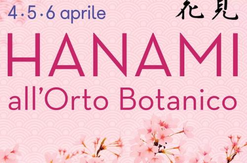 Hanami all'Orto Botanico-Foto: locandina ufficiale della manifestazione Hanami all'Orto Botanico-Foto: locandina ufficiale della manifestazione