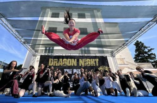 International Martial Arts Days-Foto: Pagina ufficiale Facebook