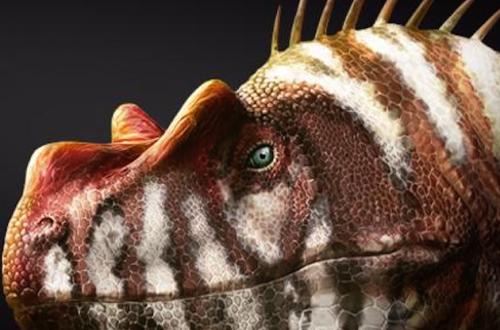 L'impero dei dinosauri: l'ascesa dei mammiferi. Scienza, arte e natura si incontrano a Roma-Foto: locandina ufficiale della mostra