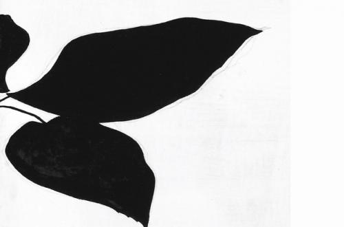 La Signora dell’Arte. Opere dalla collezione di Bianca Attolico da Mafai a Vezzoli