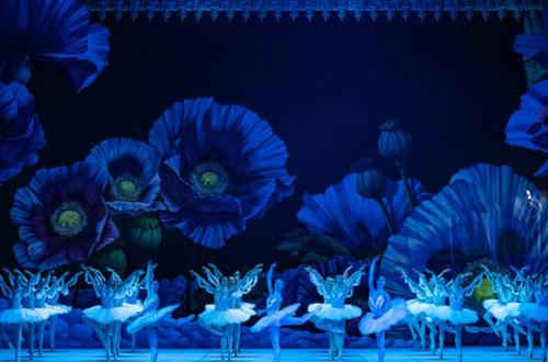 La Bayadère, ph. Fabrizio Sansoni - Opera di Roma 2023