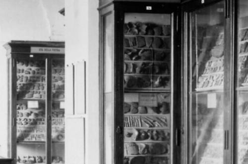 Origine e prospettive-Foto: locandina ufficiale della mostra