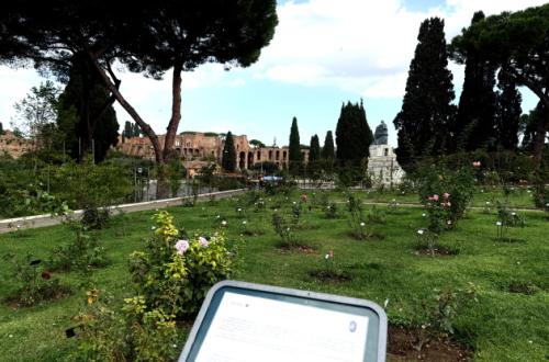 Roseto Comunale Ph. Turismo Roma Roseto Comunale Ph. Turismo Roma