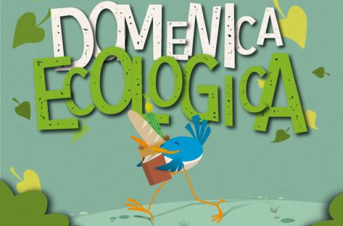 22 febbraio 2026 - Quarta Domenica Ecologica